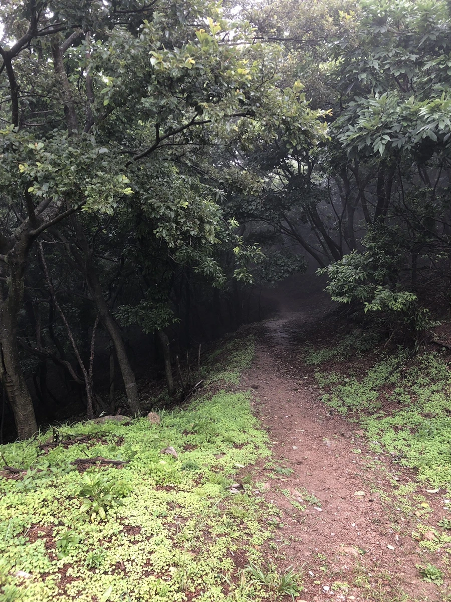 IMG_4034.JPG?type=w1