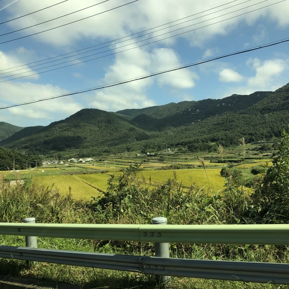 IMG_8509.JPG?type=w1