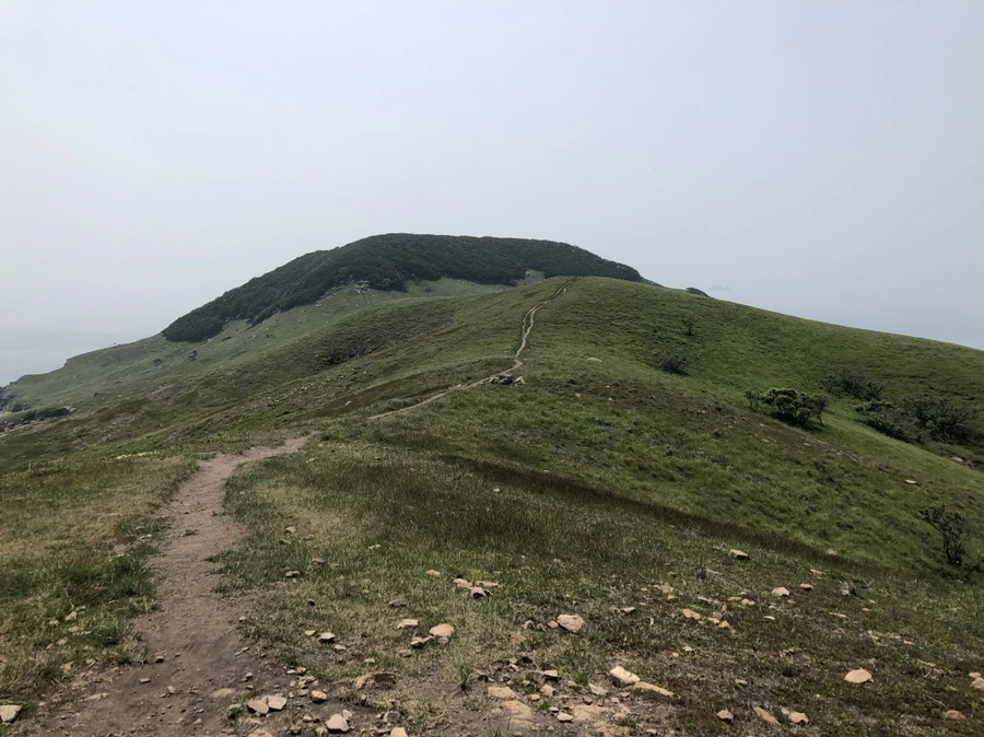 IMG_3950.JPG?type=w1