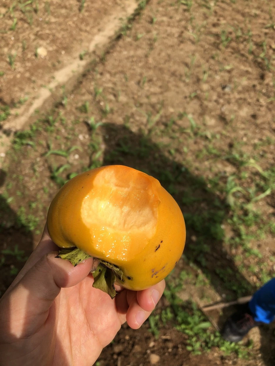 IMG_8478.JPG?type=w1