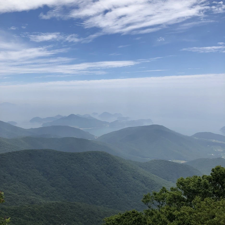 83D3EBAF-2099-4262-BA8B-E68BEF3278B9.jpeg?type=w1