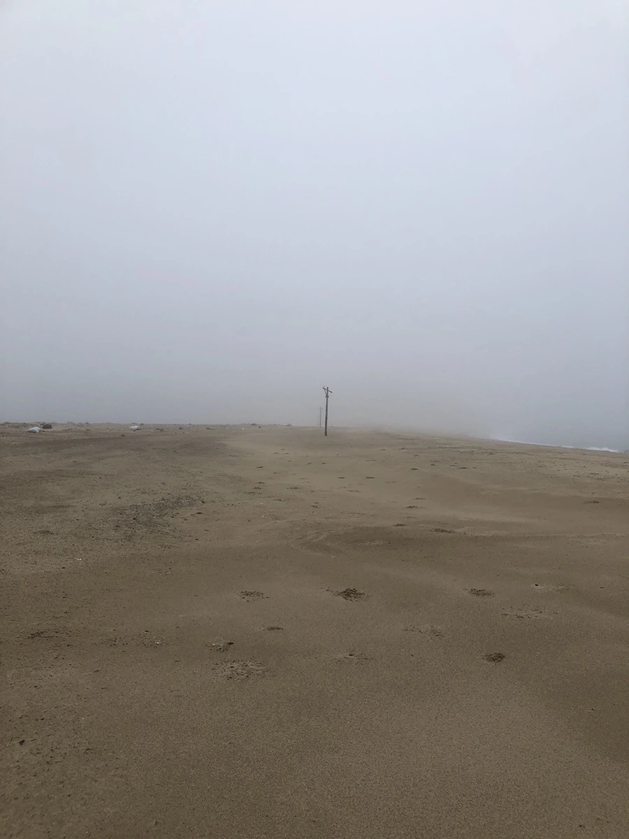 IMG_4038.JPG?type=w1