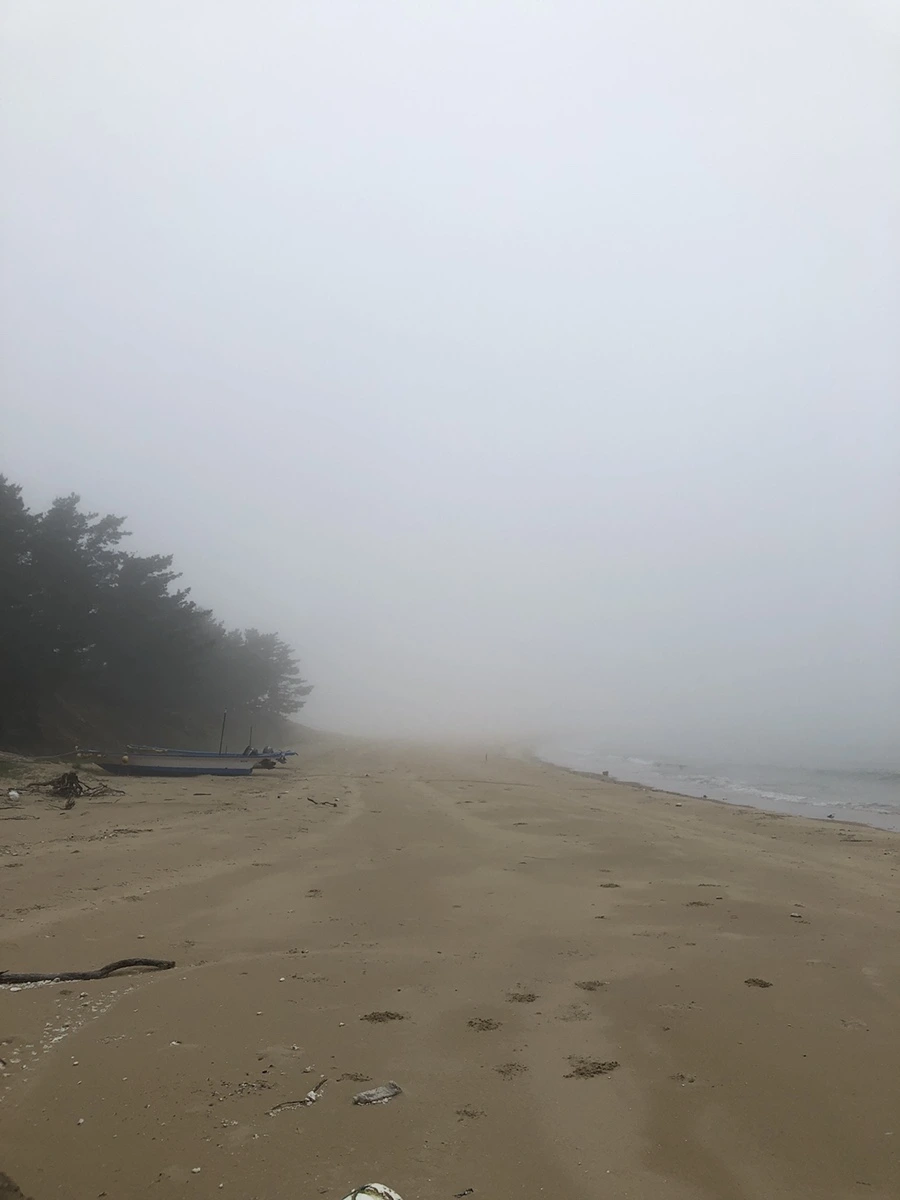 IMG_4037.JPG?type=w1