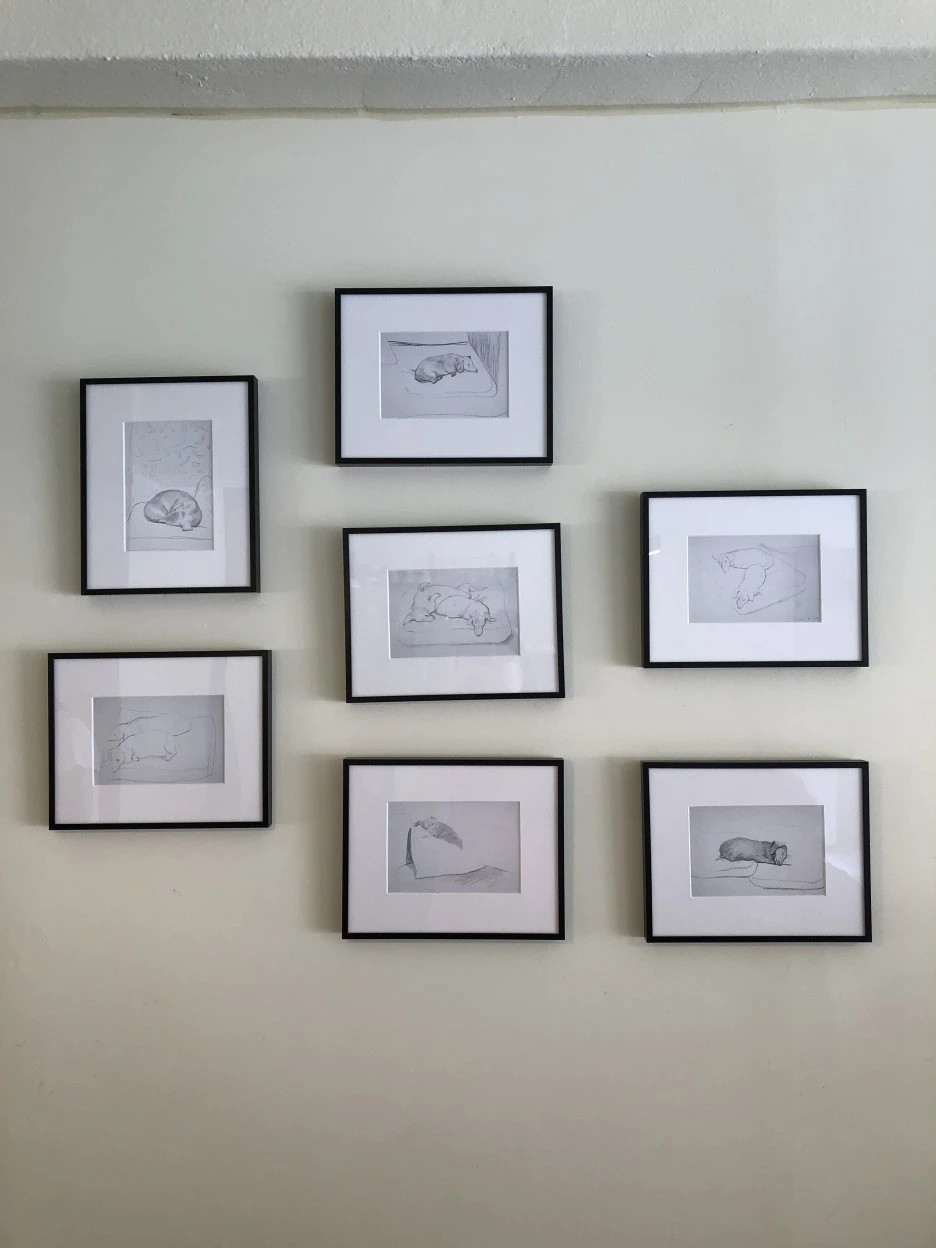 IMG_2813.JPG?type=w1