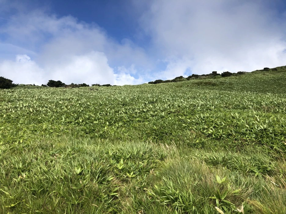 IMG_5684.JPG?type=w1