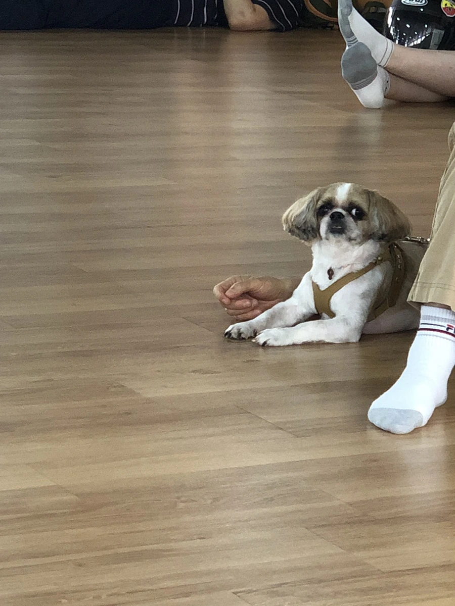 IMG_3923.JPG?type=w1