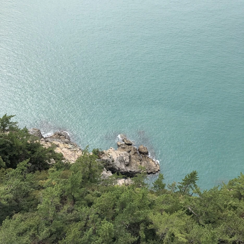 IMG_8650.JPG?type=w1