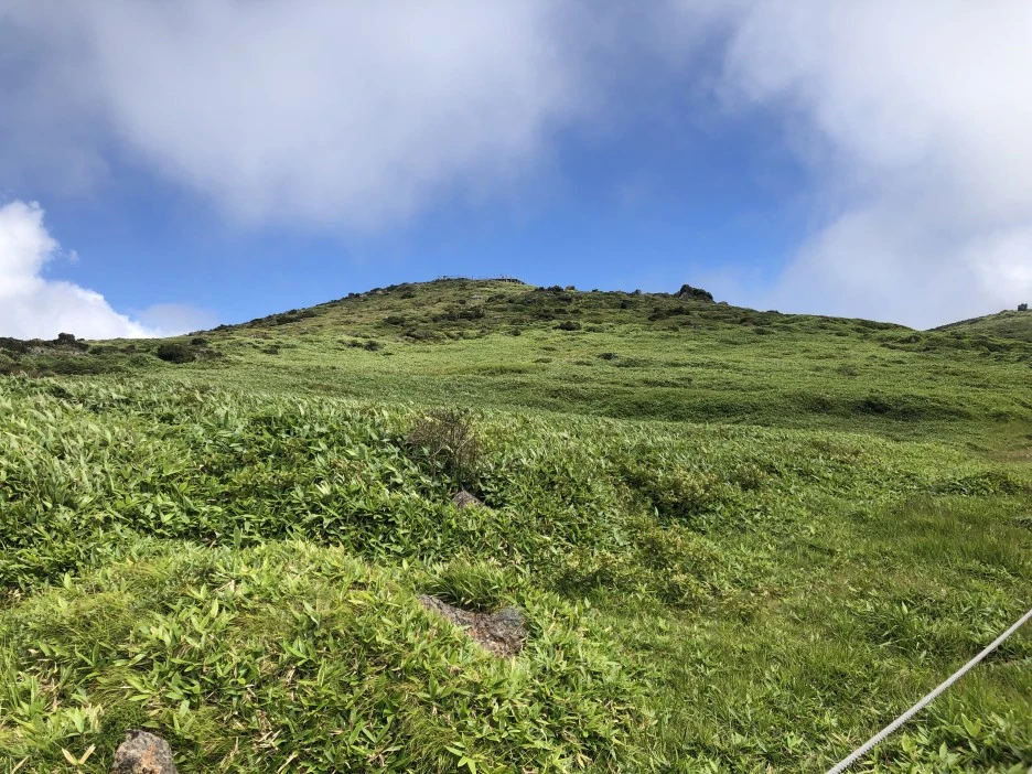 IMG_5682.JPG?type=w1