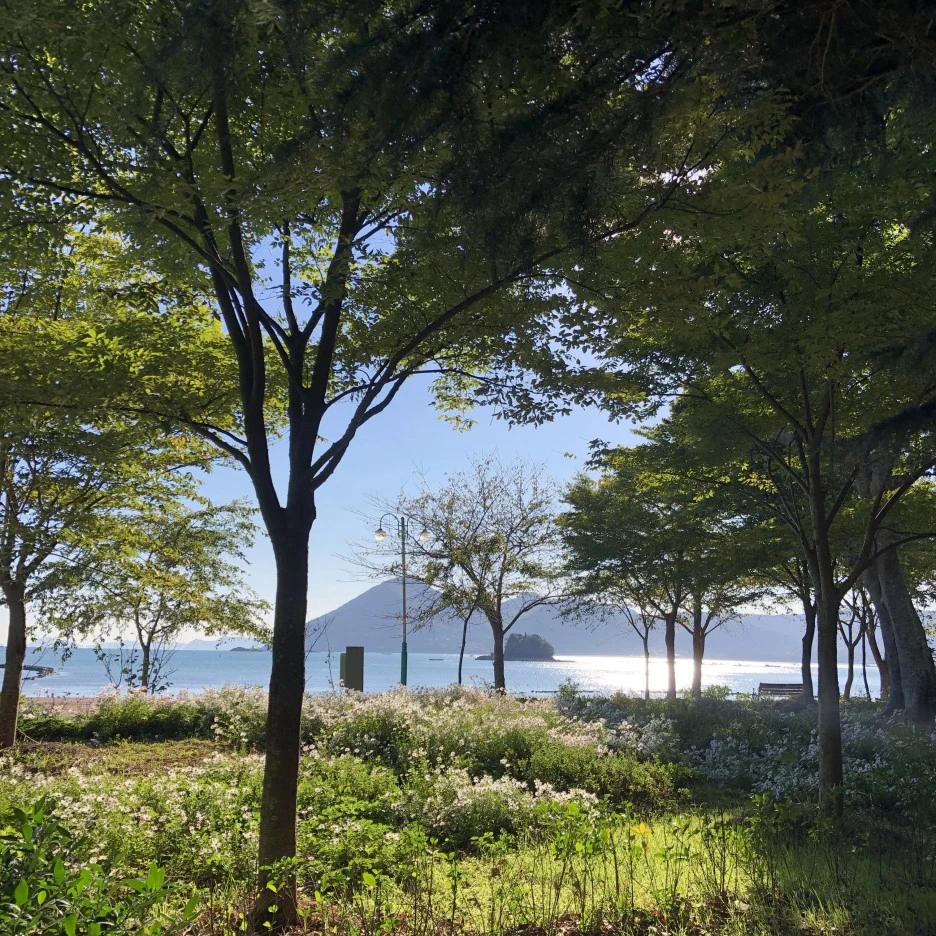 IMG_8791.JPG?type=w1