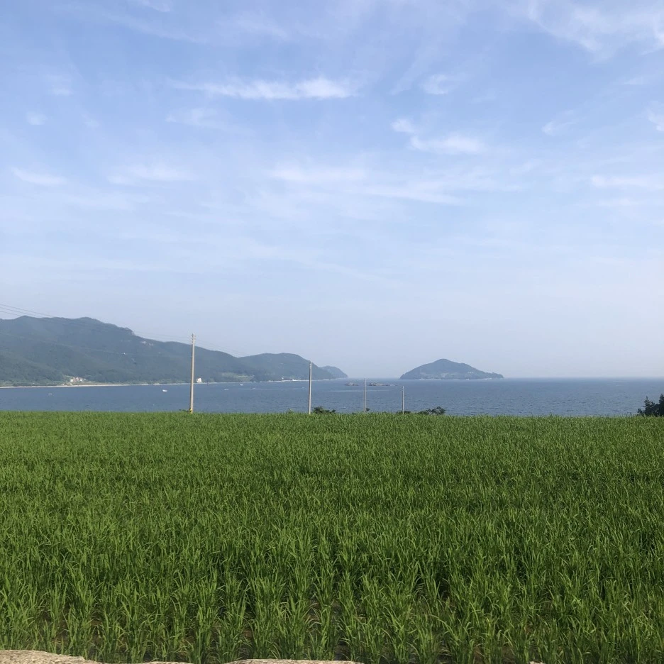 B505A0C7-8B46-40AD-903B-9686E49F1F36.jpeg?type=w1