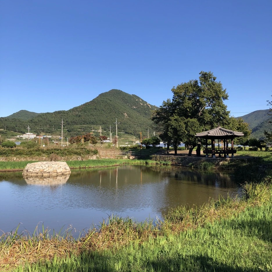 IMG_8784.JPG?type=w1