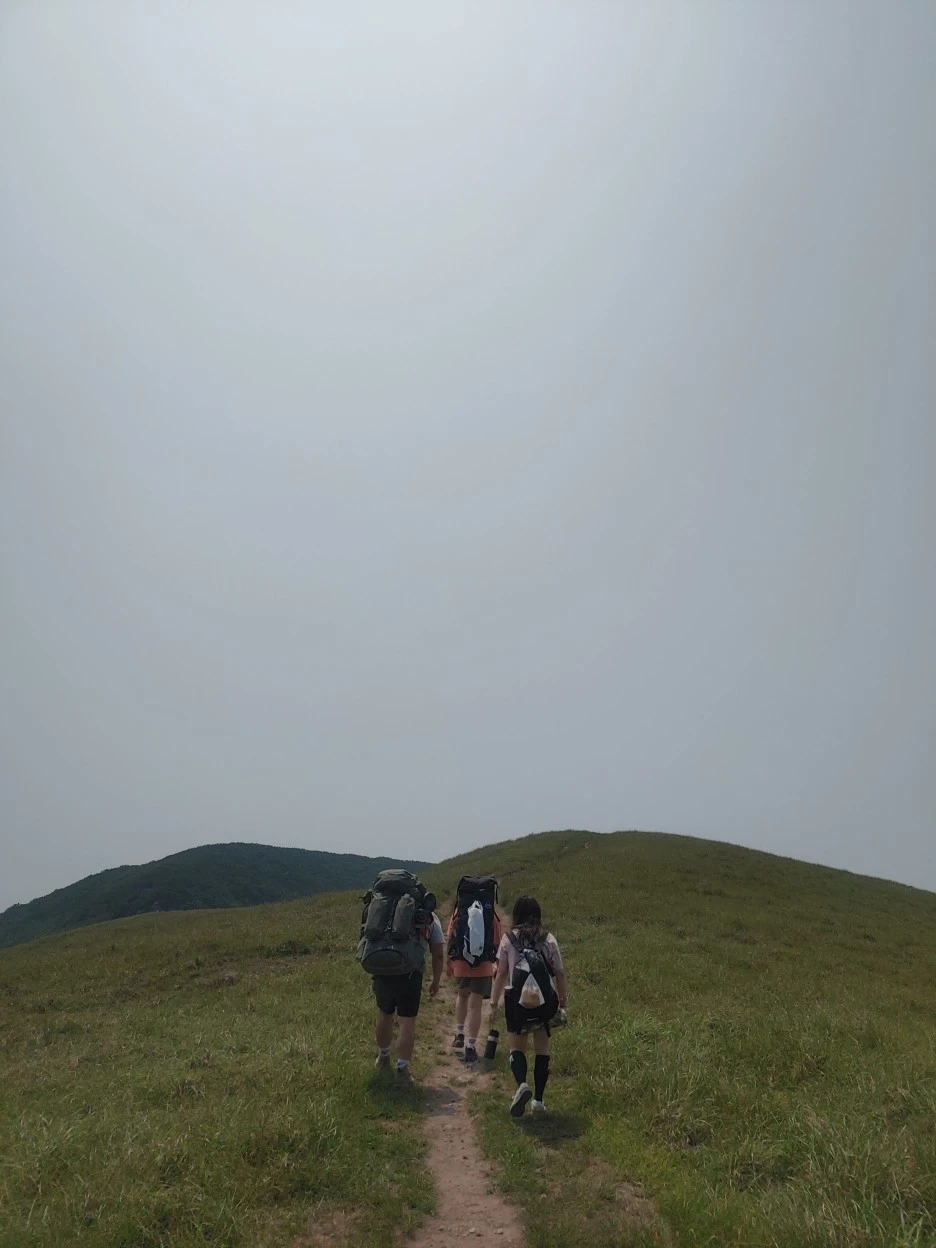 611A7428-AB6F-4D7E-8028-B267A44D8626.jpeg?type=w1