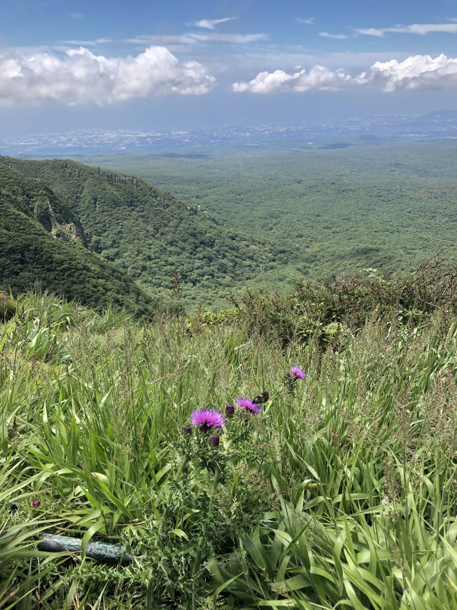 IMG_5662.JPG?type=w1