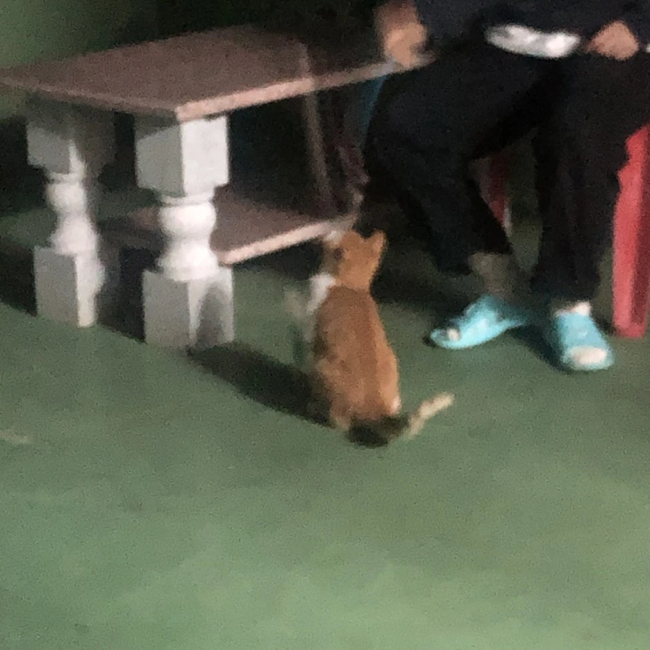 IMG_8488.JPG?type=w1