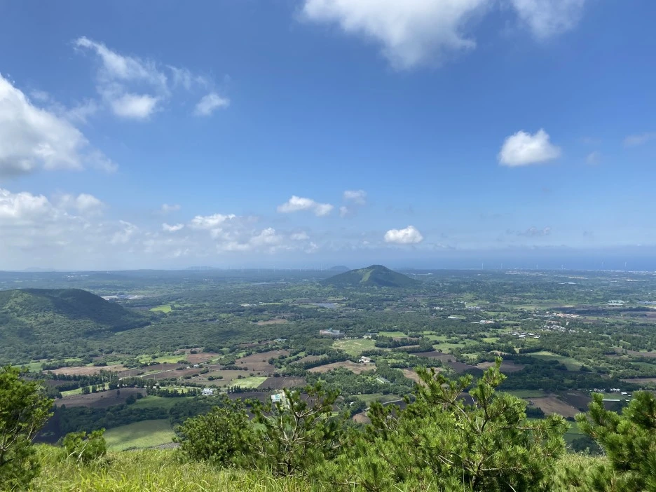 IMG_9627.jpeg?type=w1