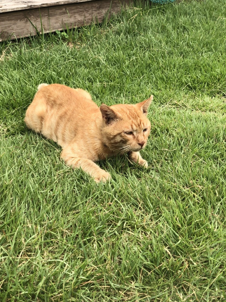 IMG_5998.JPG?type=w1