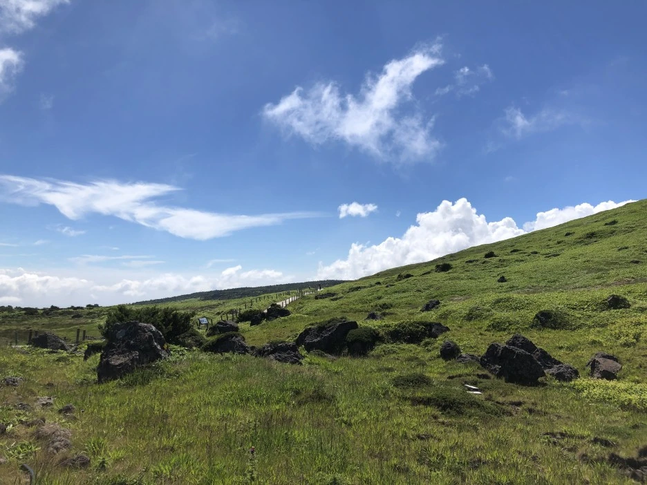 IMG_5754.JPG?type=w1