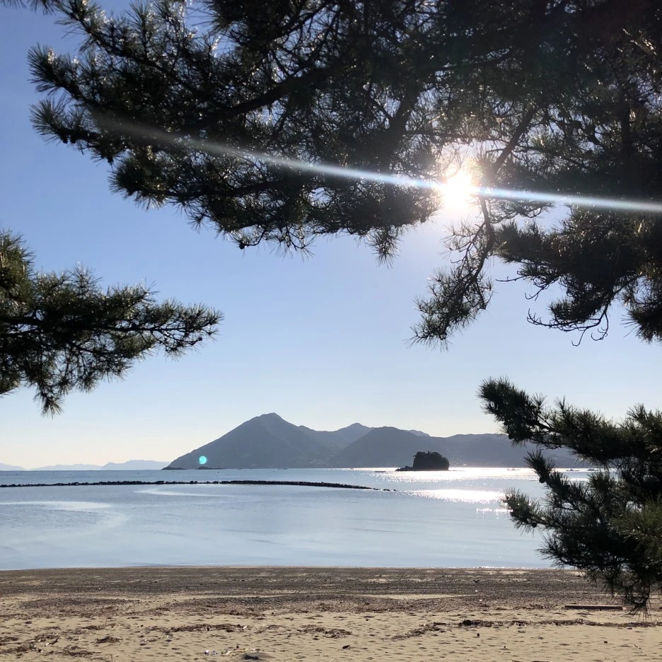 IMG_8797.JPG?type=w1