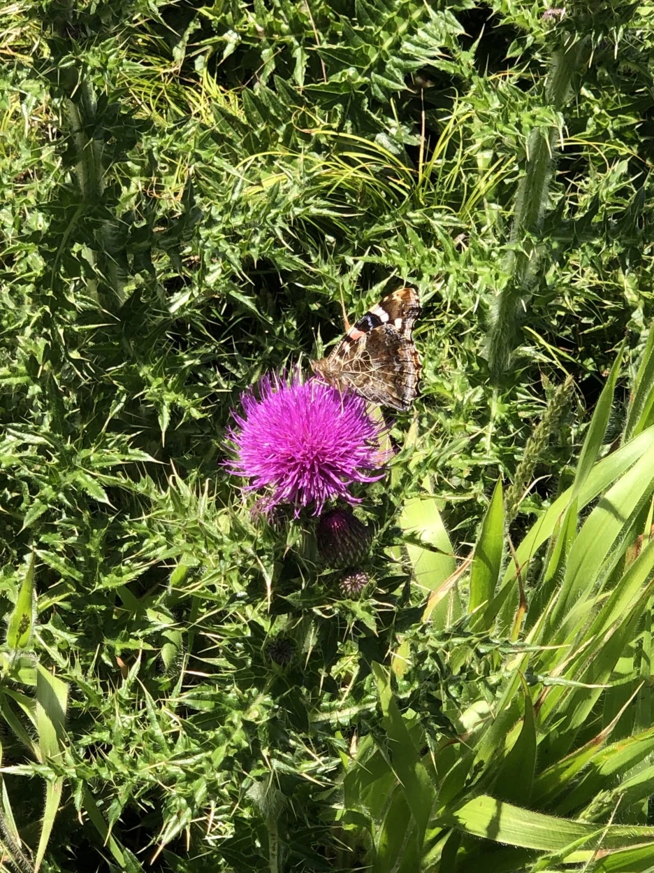 IMG_5659.JPG?type=w1