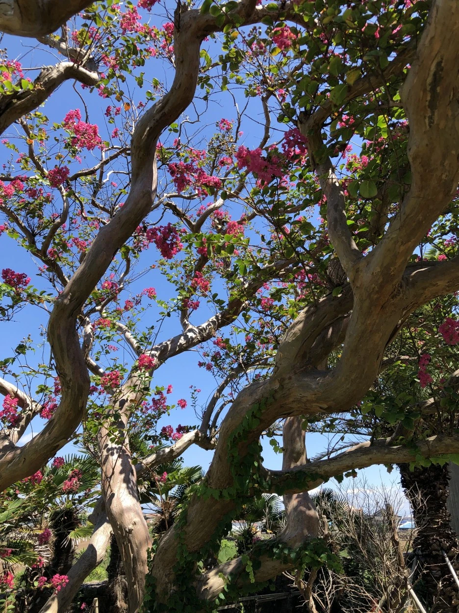 IMG_5821.JPG?type=w1