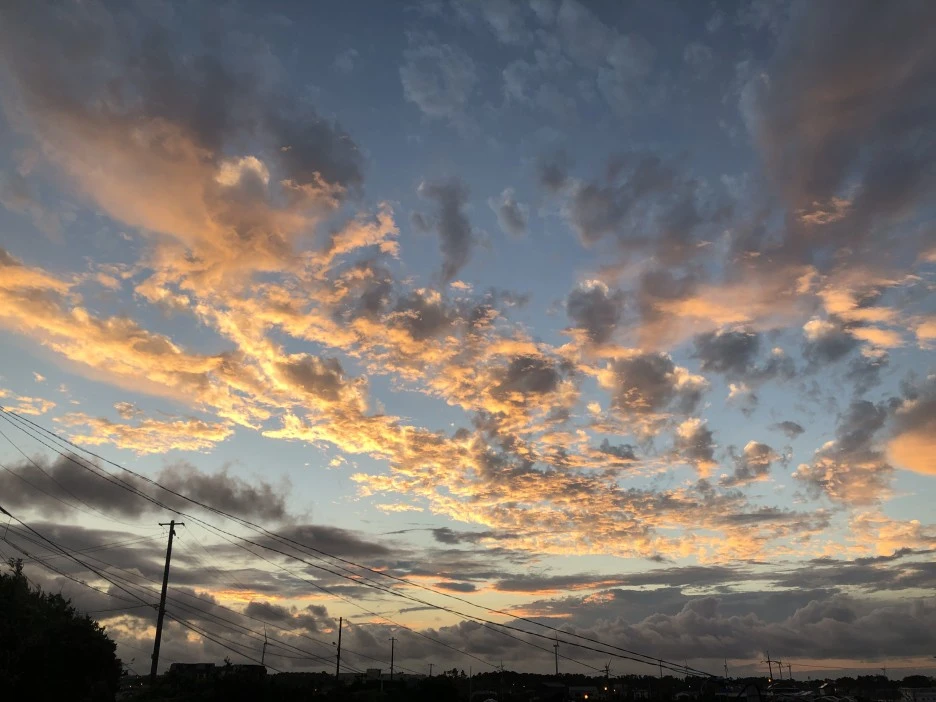 IMG_6178.JPG?type=w1