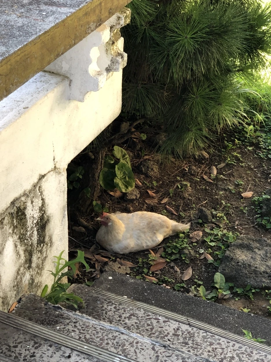 IMG_5617.JPG?type=w1