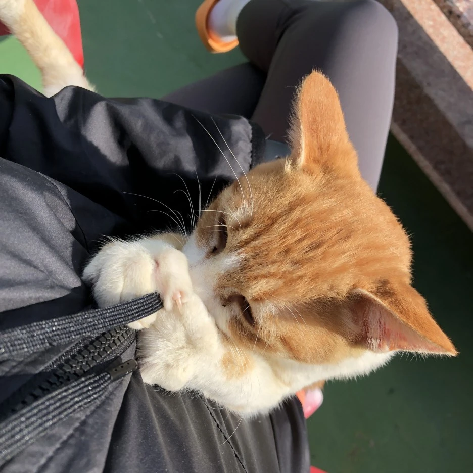 IMG_8943.JPG?type=w1