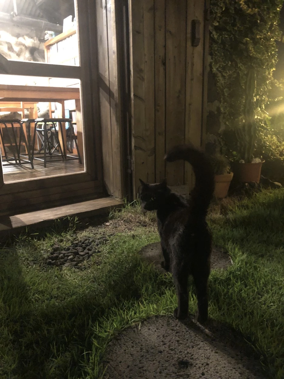 IMG_6188.JPG?type=w1