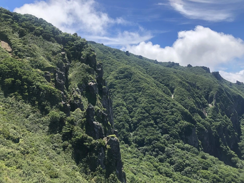 IMG_5655.JPG?type=w1