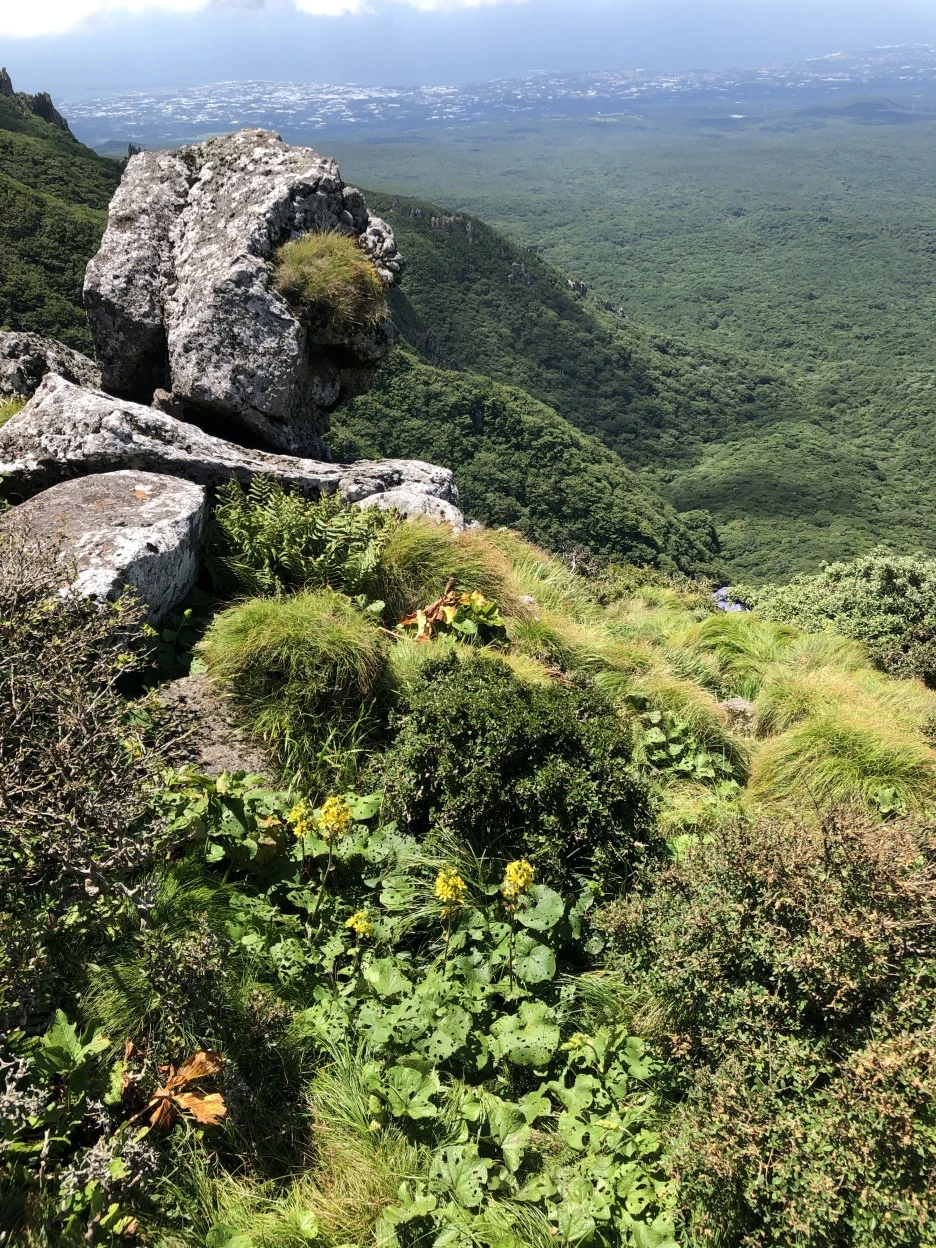 IMG_5665.JPG?type=w1