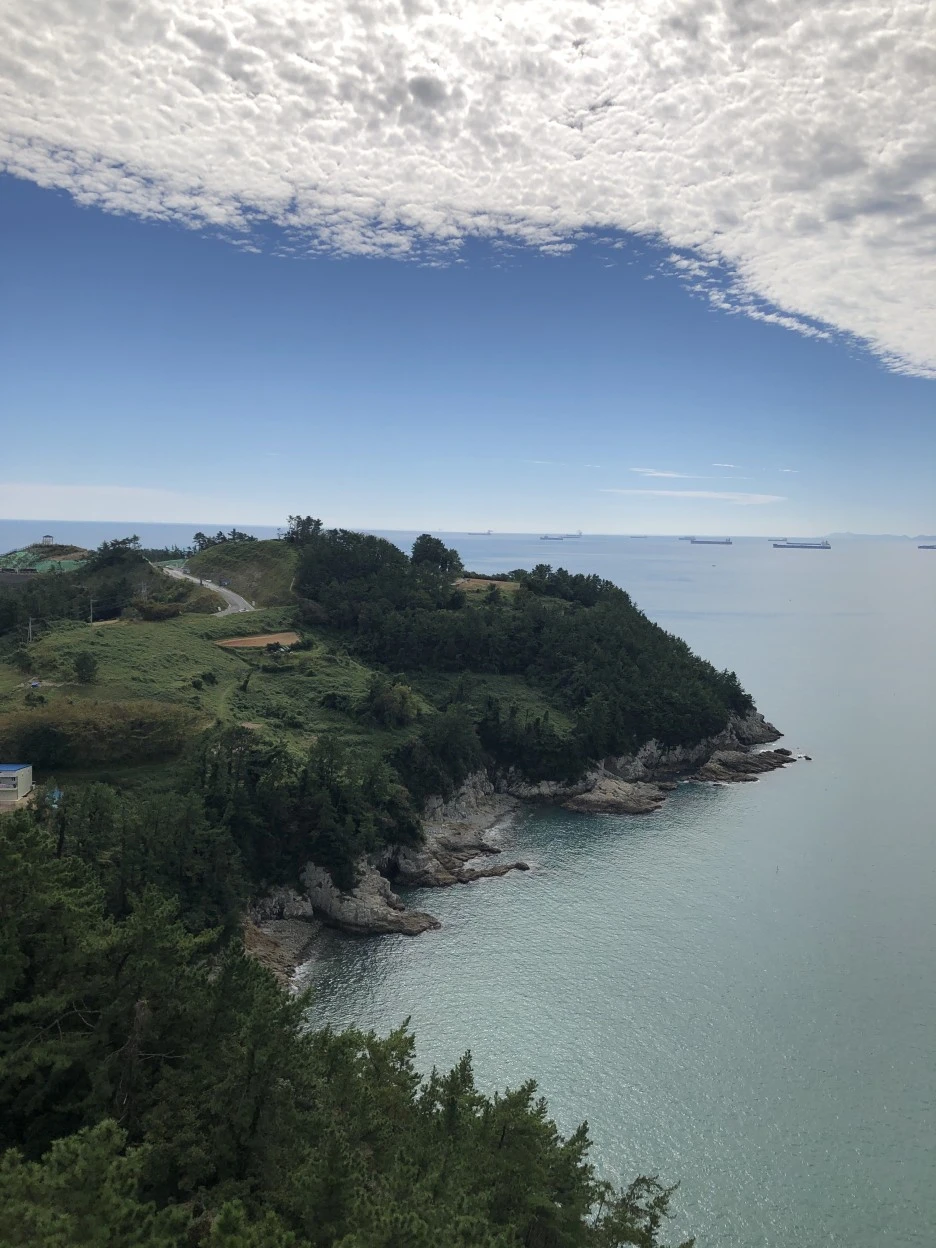 IMG_8666.JPG?type=w1