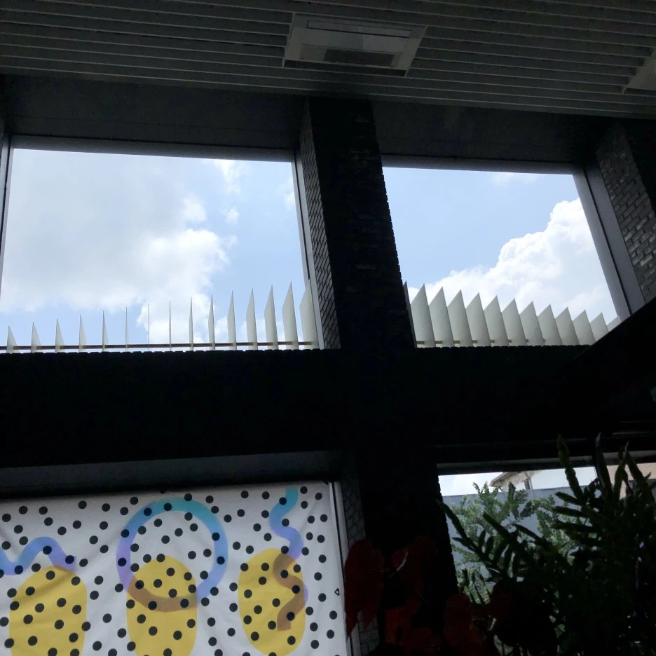 IMG_3875.JPG?type=w1