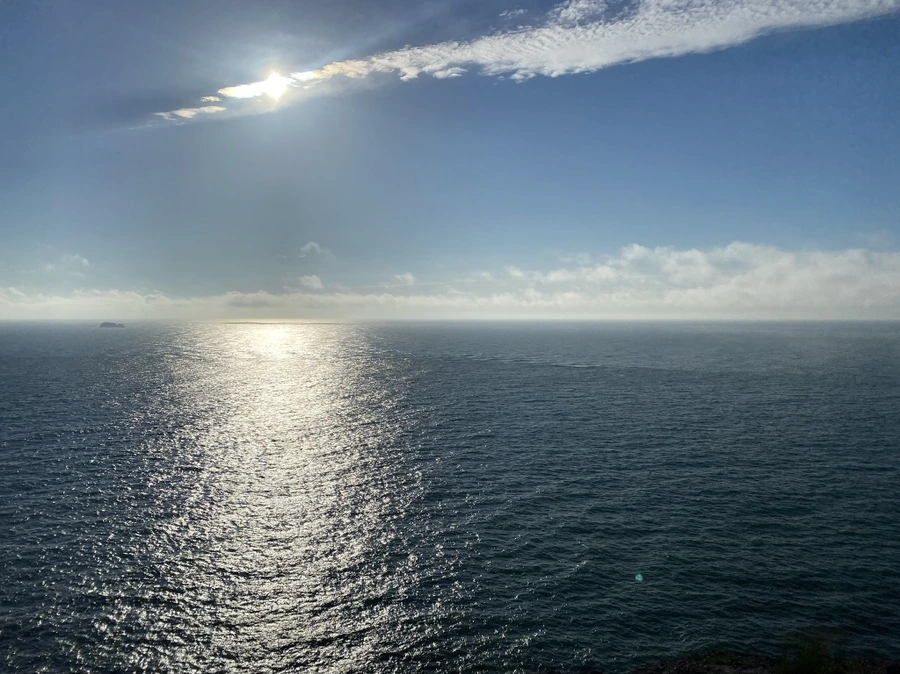 IMG_4492.JPG?type=w1