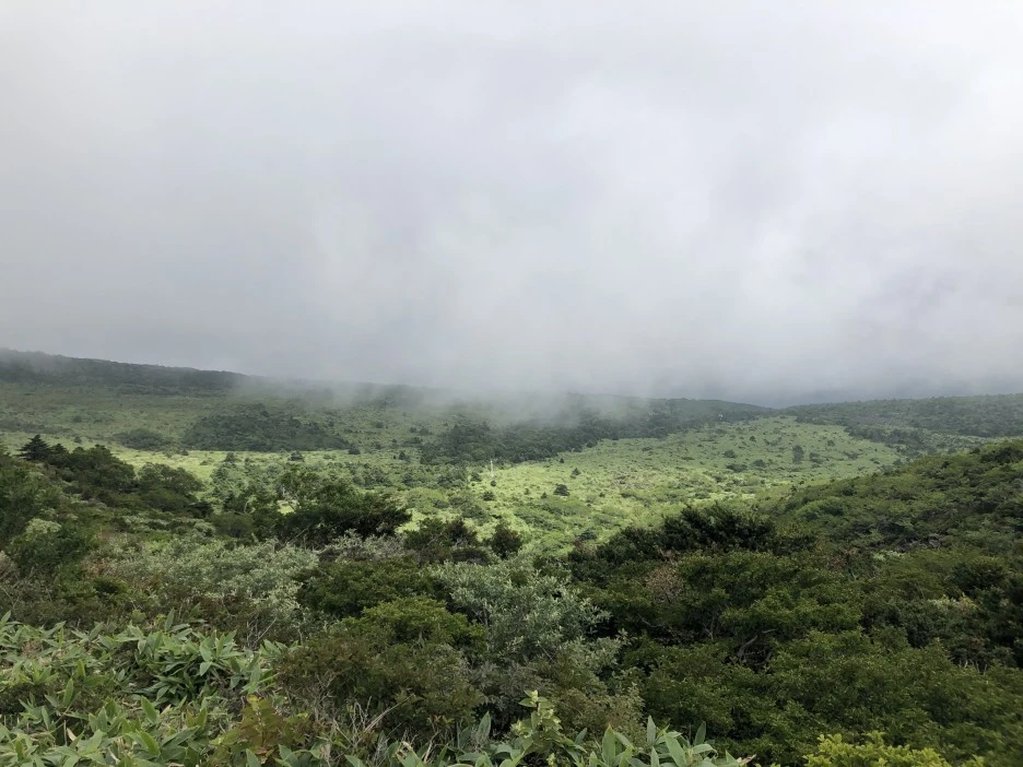 IMG_5702.JPG?type=w1