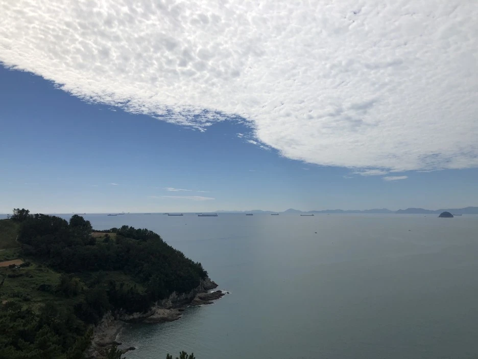 IMG_8644.JPG?type=w1