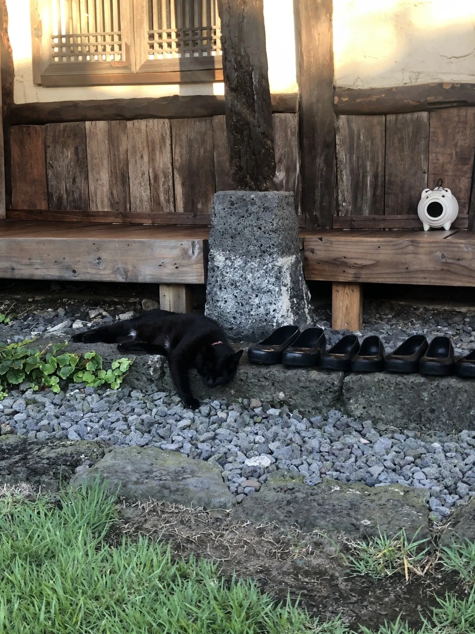 IMG_6439.JPG?type=w1