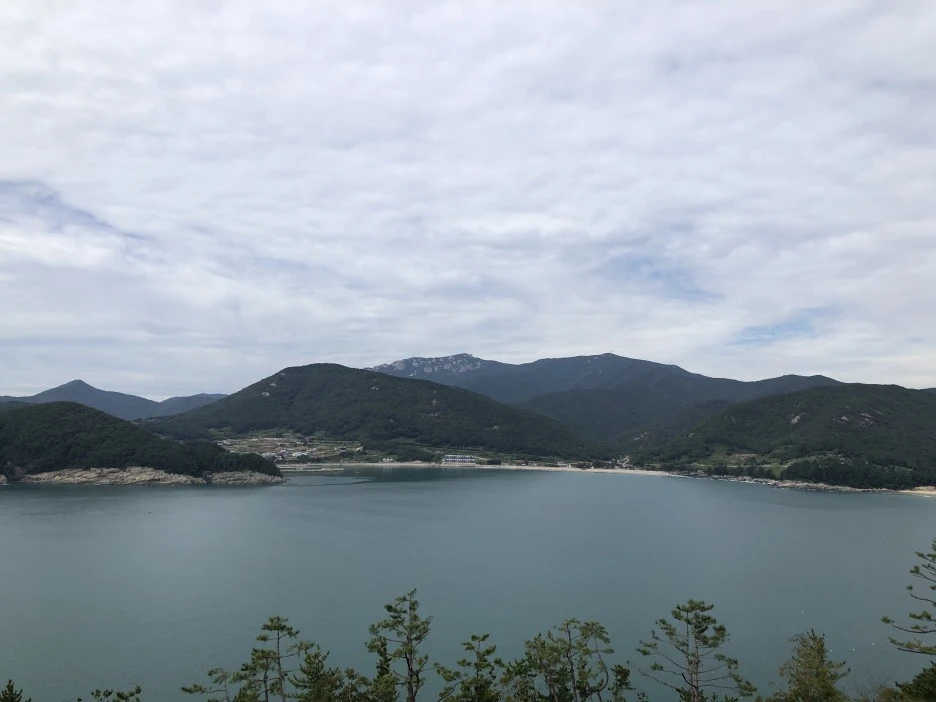 IMG_8648.JPG?type=w1