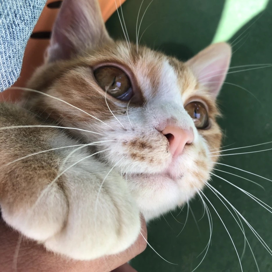 IMG_8582.JPG?type=w1