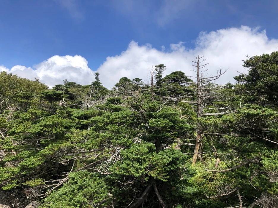 IMG_5668.JPG?type=w1