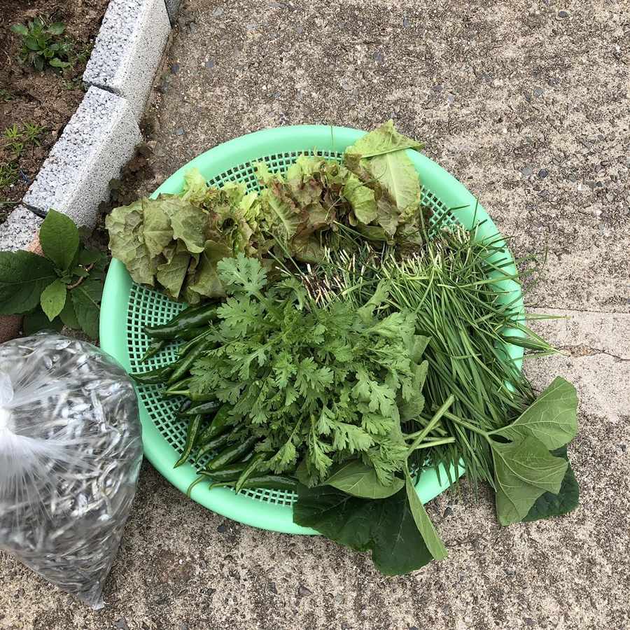 IMG_3423.JPG?type=w1