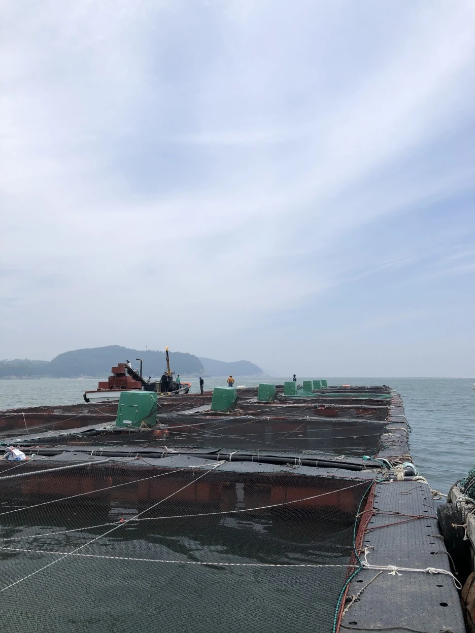 2CAABBDE-07C5-479B-A1B0-14439BD95519.jpeg?type=w1