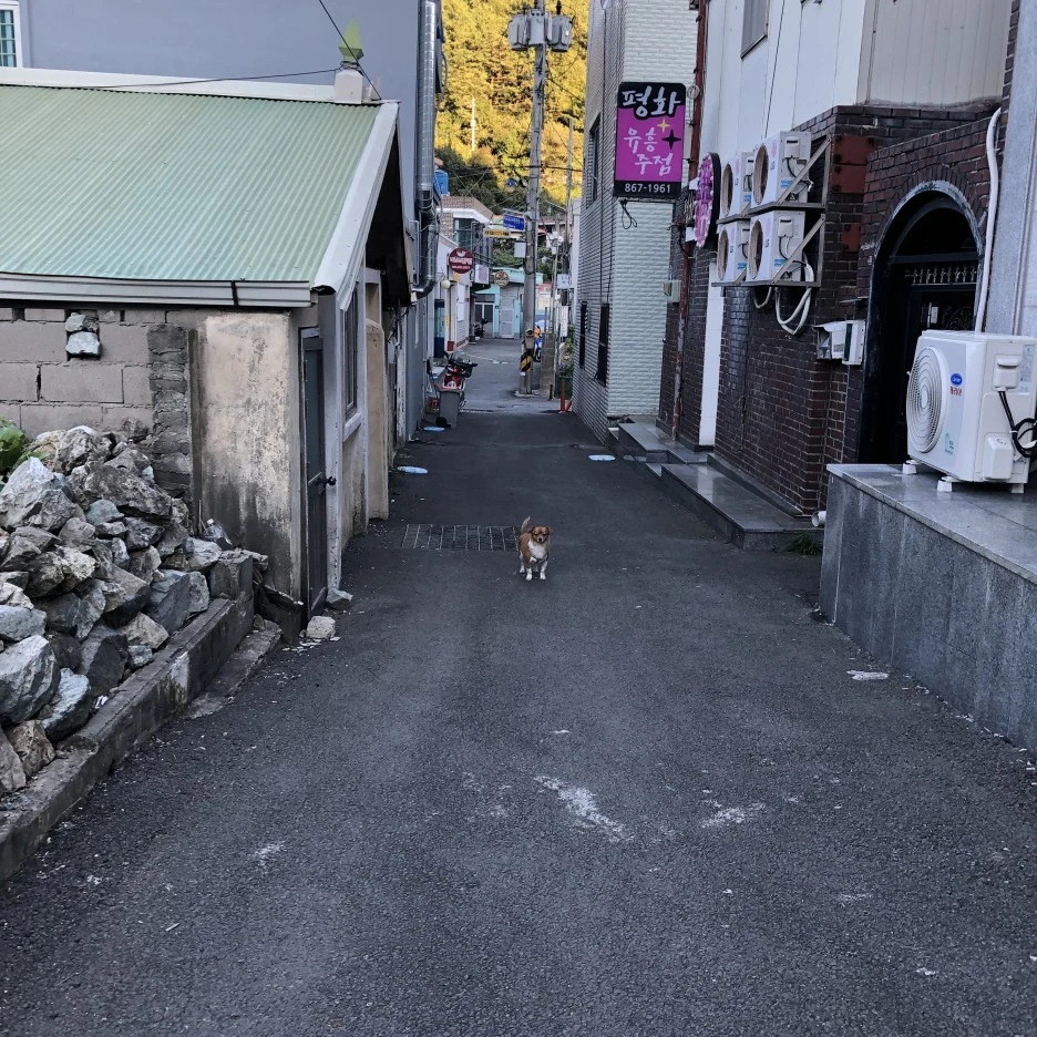 IMG_8802.JPG?type=w1