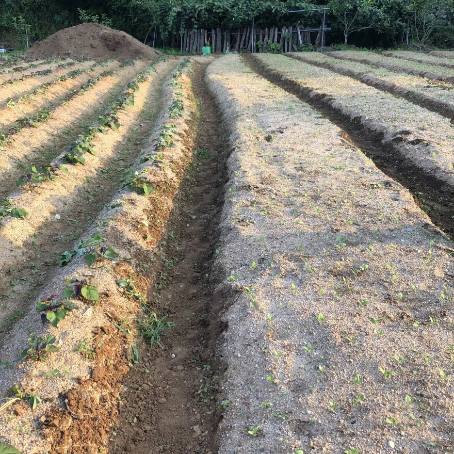 5A761BC8-2DD3-4C12-8F38-469CAC9A0F20.jpeg?type=w1