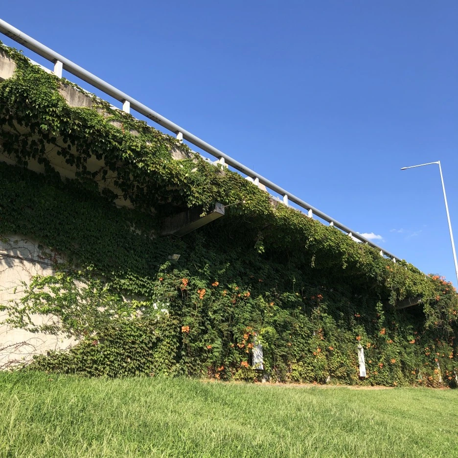 IMG_7335.JPG?type=w1