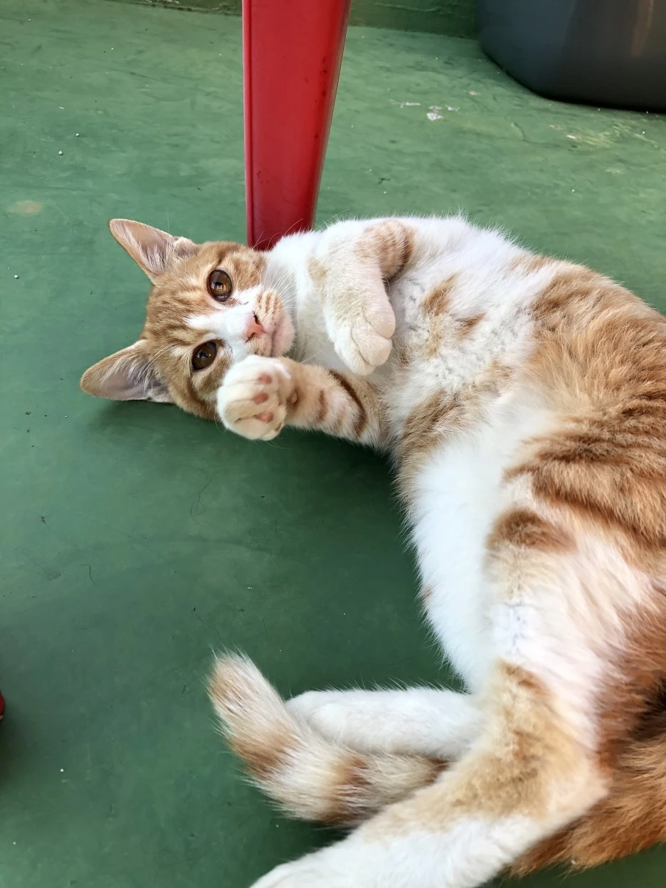 IMG_8619.JPG?type=w1