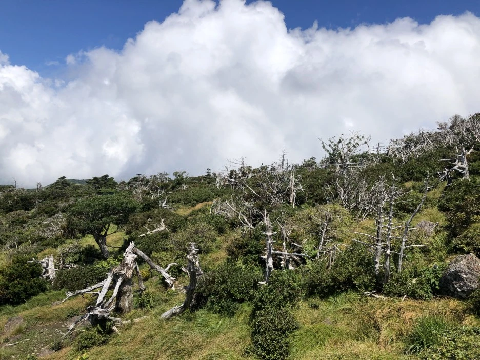 IMG_5666.JPG?type=w1