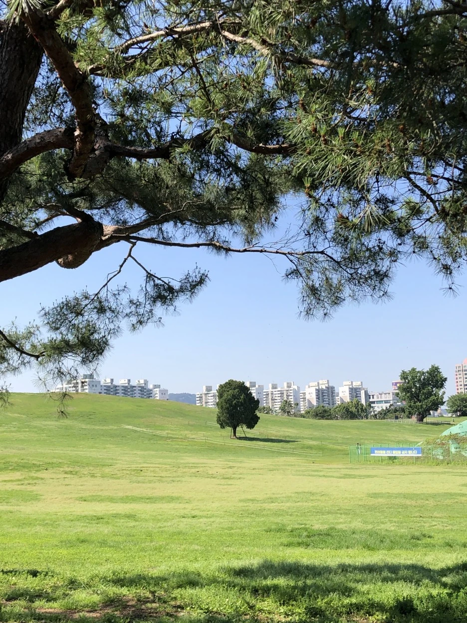 IMG_3070.JPG?type=w1