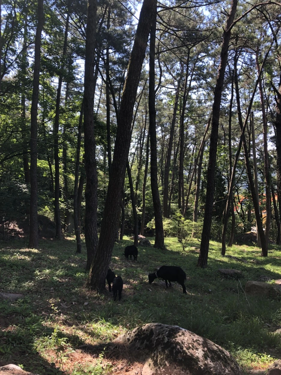 94C6A6EF-5C95-41C5-A150-E897233E51B6.jpeg?type=w1