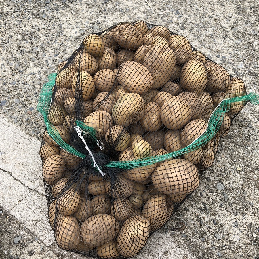 IMG_3424.JPG?type=w1