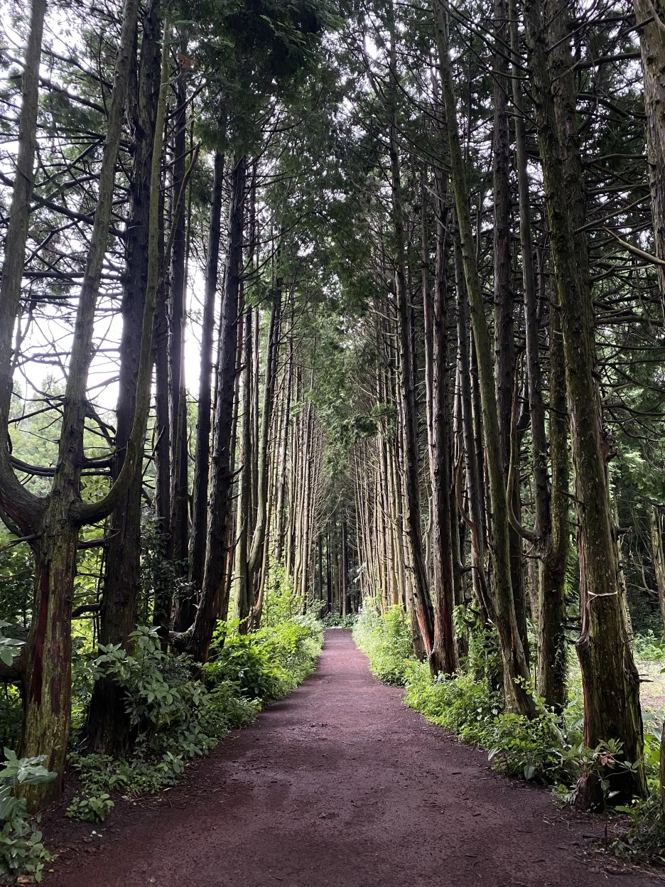 IMG_9374.jpeg?type=w1